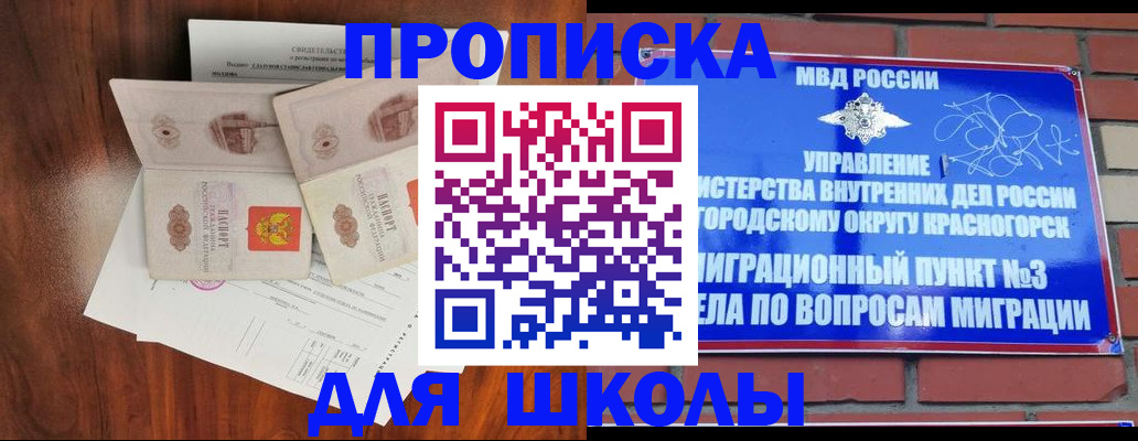 прописка поиск в Тайшете